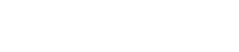 Apex Retails — next wave shop